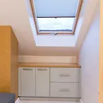 Pajo Iii--apartament--polana Szymoszkowa Resort--stok Narciarski--garaz Podziemny * Ζακοπάνε